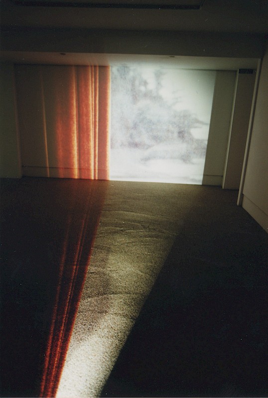 Installation Fin de siècle
