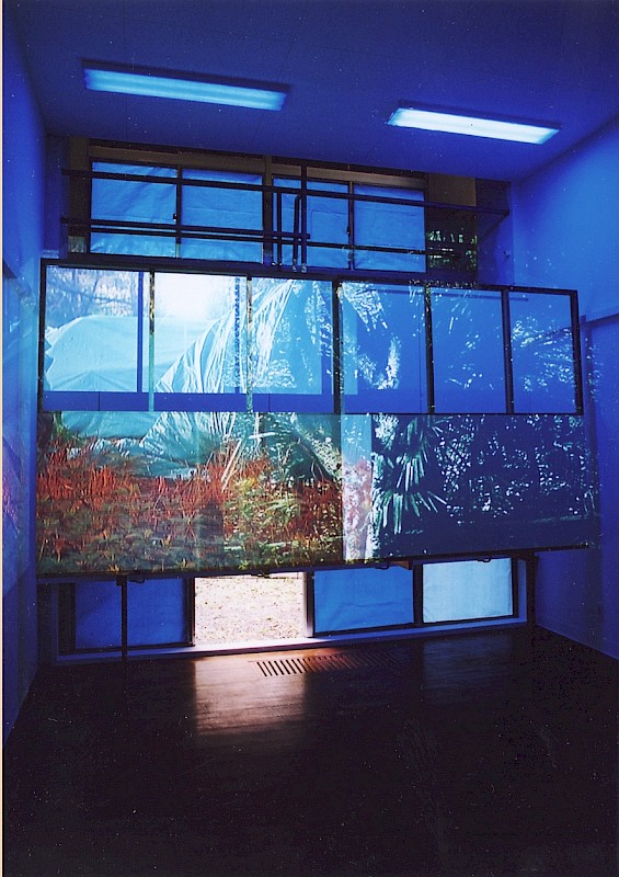 Ueno Park I, installation in daytime