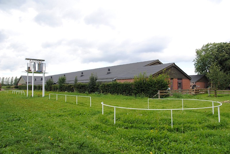 Forwards Backwards pavilion