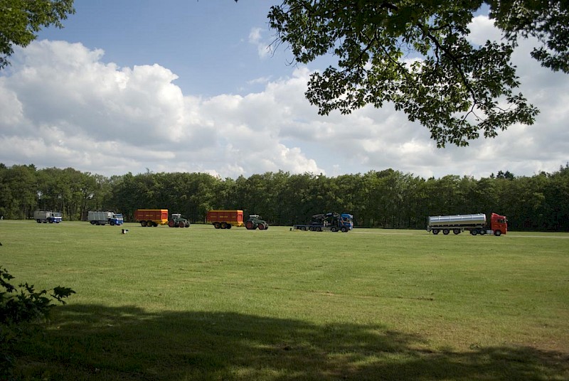 Forwards Backwards trucks